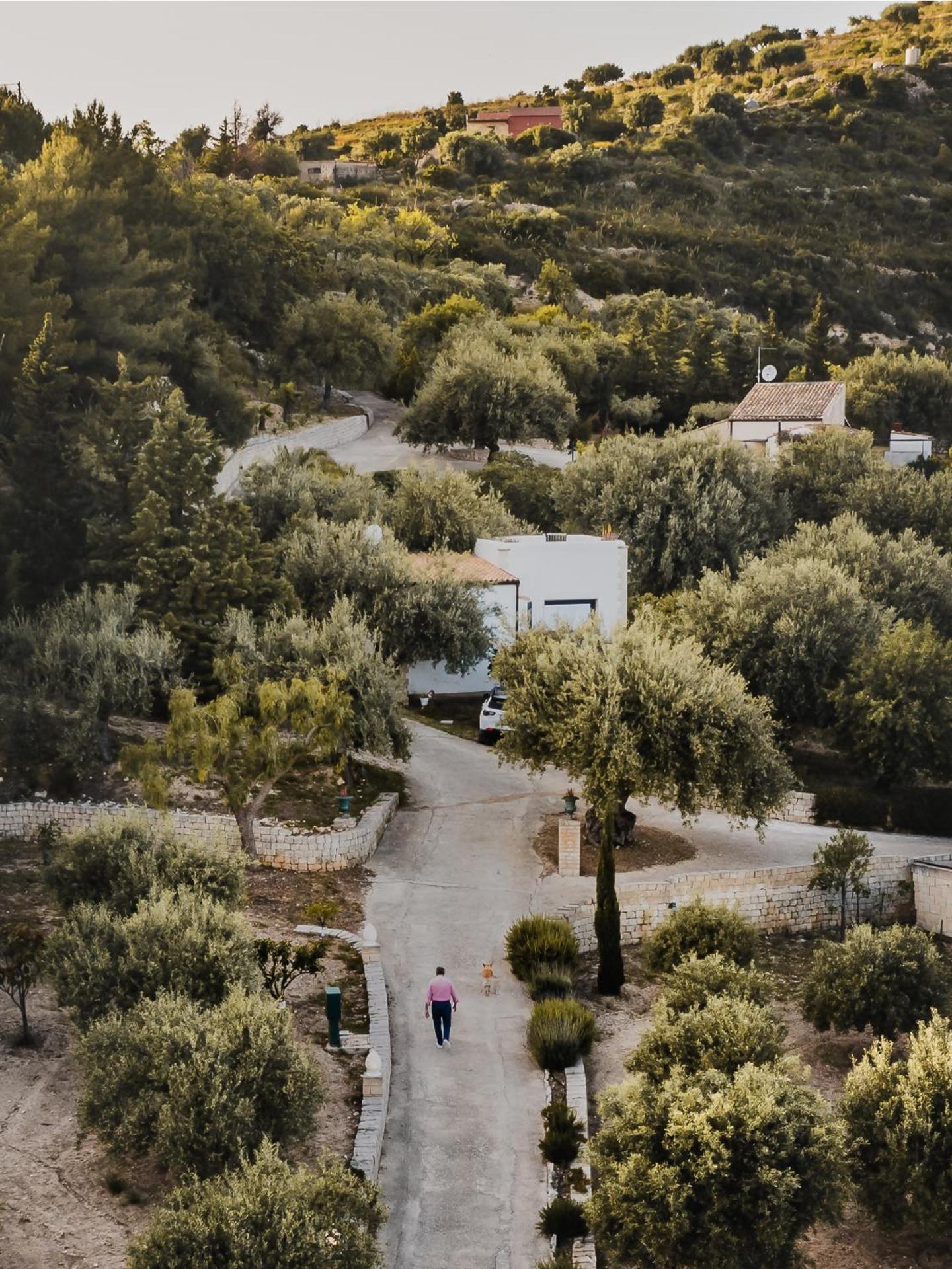 Tenuta Olive Alive Noto Cameră foto